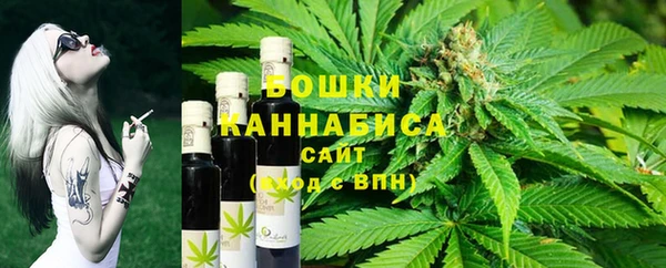 шишки Аркадак