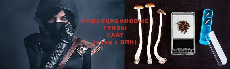 Псилоцибиновые грибы Psilocybe  Фурманов 